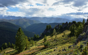 trees and hills