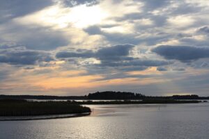 Blackwater National Wildlife Refuge